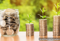 Instant Loan Apps vs Services: Compare Fees, Speed & Safety