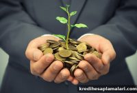 How Fibe Transformed Borrowing in India: Faster Loans & Better Access