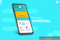 Simplify Your Loans with Fibe Credit Suite