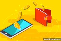 Credit Card vs Instant Cash Loan: Which Option Suits You?