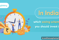 Which Savings Schemes to Invest in India Now