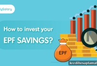 How to Invest Your EPF Savings for Maximum Returns