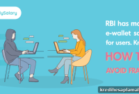 RBI Strengthens E‑Wallet Security: How to Prevent Fraud