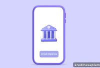 Check Your Bank Balance Online: Quick Ways for Any Bank