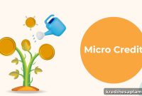 Microcredit Explained: Definition, Key Features, and Real-Life Examples