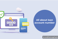 What Is a Loan Account Number and How to Check It Online