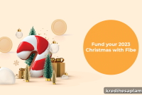 Get Holiday Cash Fast: Instant Christmas Loans from Fibe