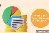 What Is the Control Number on a CIBIL Report and Why It Matters