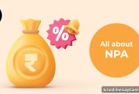 Non-Performing Asset Explained: Key Facts Every Investor Should Know