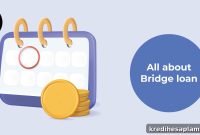 Bridge Loans: Key Facts Investors Should Know