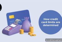 How Banks Calculate Your Credit Card Limit — Key Factors Explained