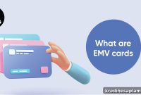 What Is an EMV Card? 5 Key Things You Should Know