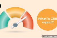 Fix CRIF High Mark Credit Report Errors Online Quickly