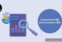 Consumer CIBIL vs Commercial CIBIL: Key Differences Explained