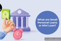 Mini Personal Loans: What You Need to Know Before Applying