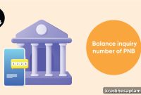PNB Balance Check: Updated Contact Number for 2026