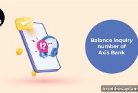 Axis Bank Balance Check: Missed Call, SMS & NetBanking Guide
