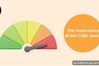 CIBIL Score Explained: Why Credit Ratings Matter and How to Check Yours