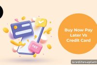 BNPL vs Credit Card: Which Payment Method Suits You Best?