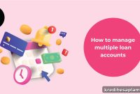 Manage Multiple Loan Accounts: 4 Smart Strategies for Control