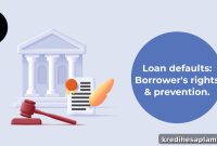 Loan Default? Essential Borrower Rights You Need to Know