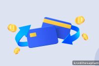 RuPay Credit Cards: Essential Facts Every Cardholder Should Know
