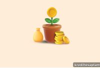 How to Reinvest a Mutual Fund Loan: Key Things to Know