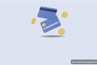Credit Cards for Low CIBIL Scores: Top Options for Quick Approval