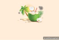 Finance Your Kerala Holiday: Using a Personal Loan for Trip Costs