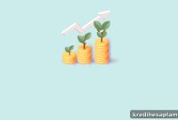 Beginner’s Guide to Investing in SIPs: Start Your Mutual Fund Plan