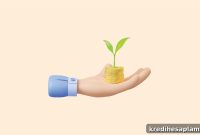 What Is a One-Time Mandate (OTM) in Mutual Funds?