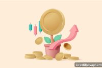 Bandhan Bank Fixed Deposit Rates 2026: Guide for Investors