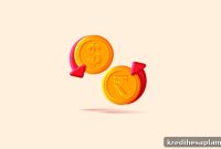 NRE vs NRO Accounts: Key Differences for NRIs Explained