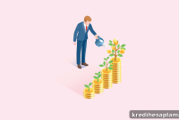 Top 5 Mutual Funds Young Professionals Should Consider