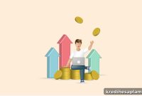 High Net Worth Individuals vs Ultra HNWIs: Definitions and Differences