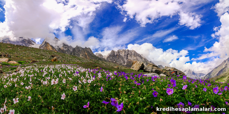 Valley of Flowers