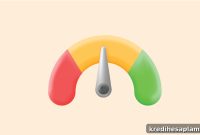 Check Your CIBIL Score Online Without a PAN Card